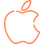 apple (1) 1 apple (1) 1